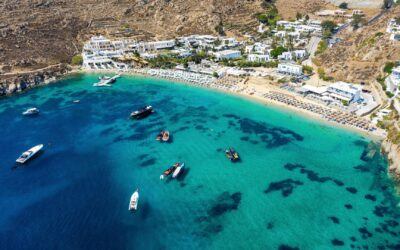 xr:d:DAFdNOX05qI:3,j:822606134,t:23031420